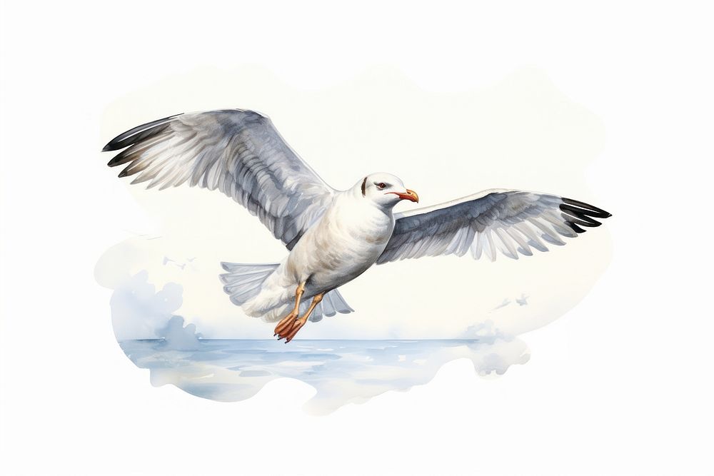 Seagull animal flying bird. AI generated Image by rawpixel.
