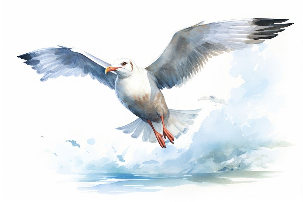 Seagull animal flying bird. AI generated Image by rawpixel.