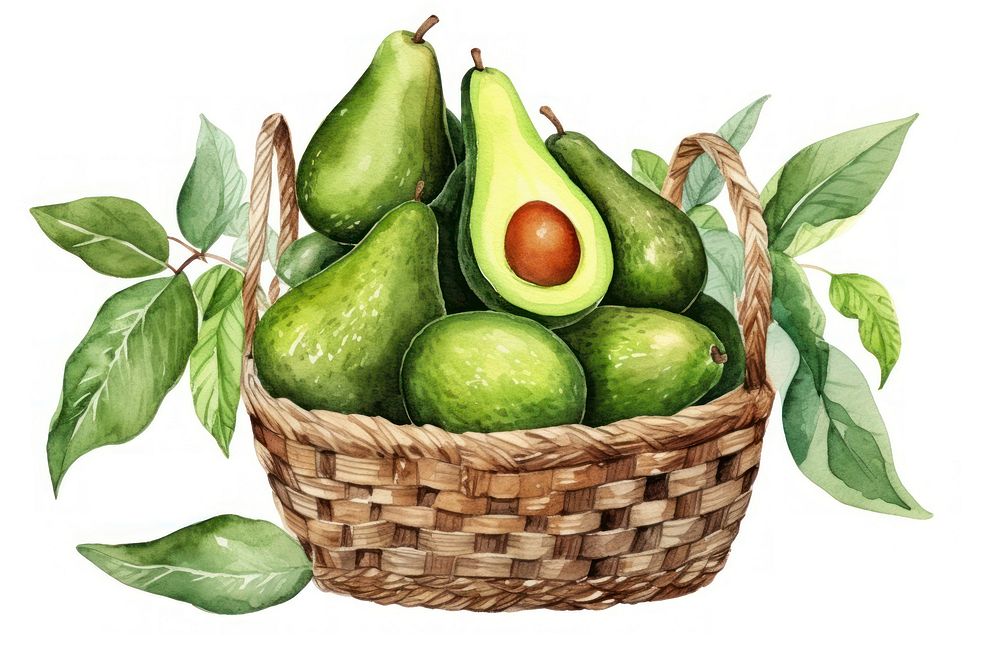 Avocado basket fruit plant. AI generated Image by rawpixel.