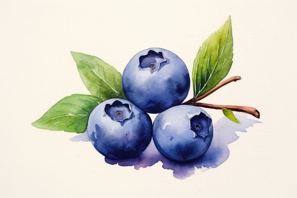 Blueberry fruit plant food. AI generated Image by rawpixel.