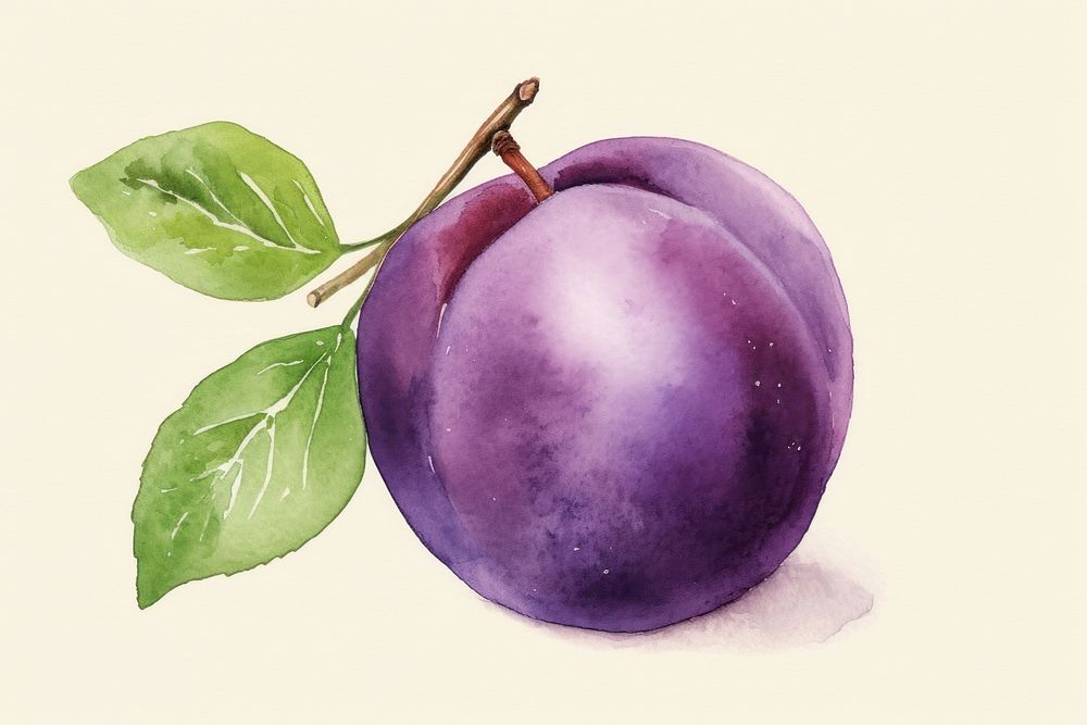 Fruit plant food plum. AI generated Image by rawpixel.