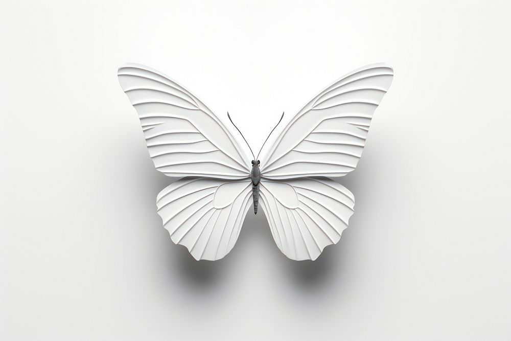 White butterfly white background accessories. AI generated Image by rawpixel.