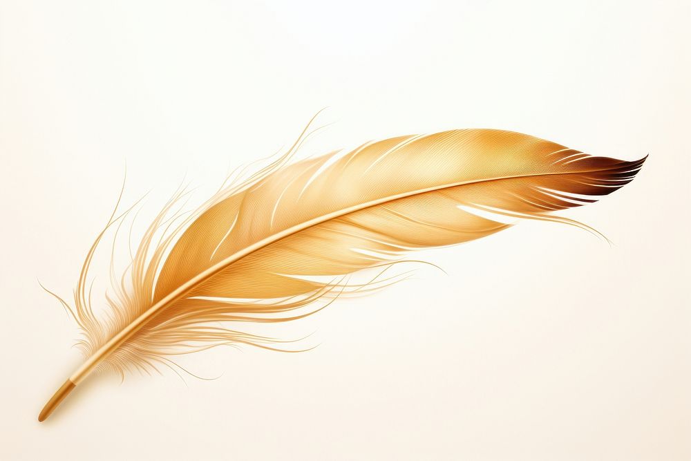 Feather wing bird lightweight. AI generated Image by rawpixel.