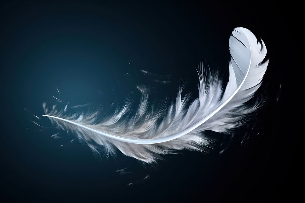 Feather pattern flying lightweight. AI generated Image by rawpixel.
