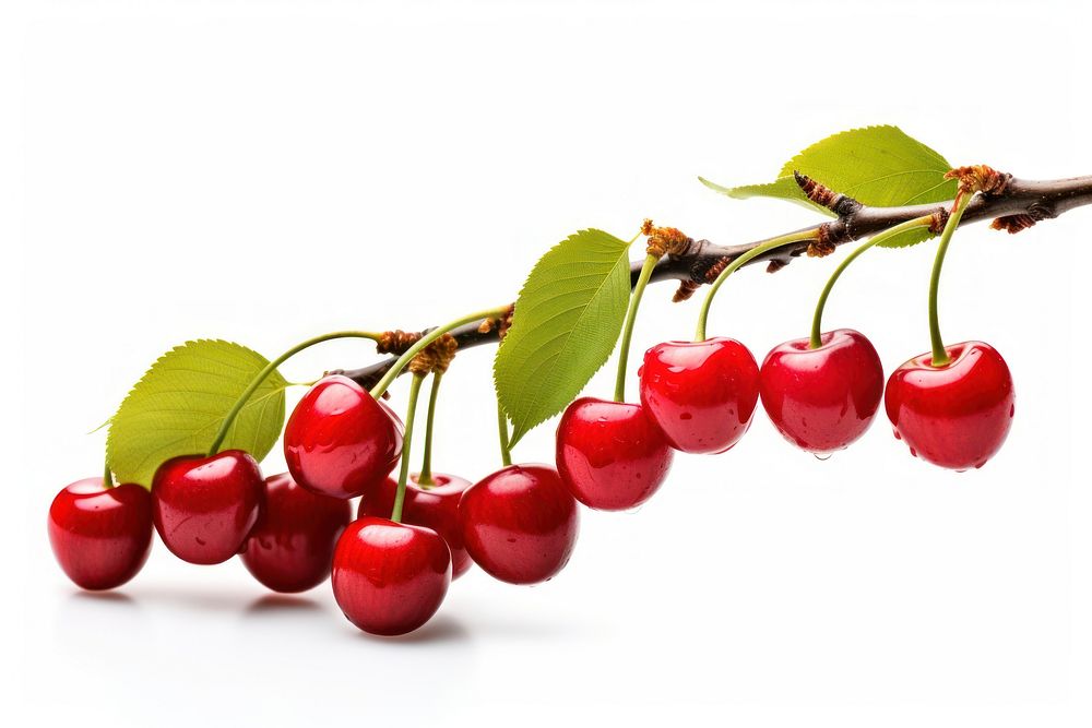 Branch cherry plant fruit. AI generated Image by rawpixel.