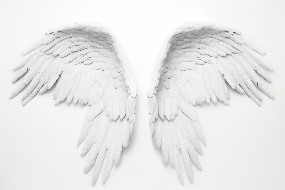 White angel wing bird. AI generated Image by rawpixel.