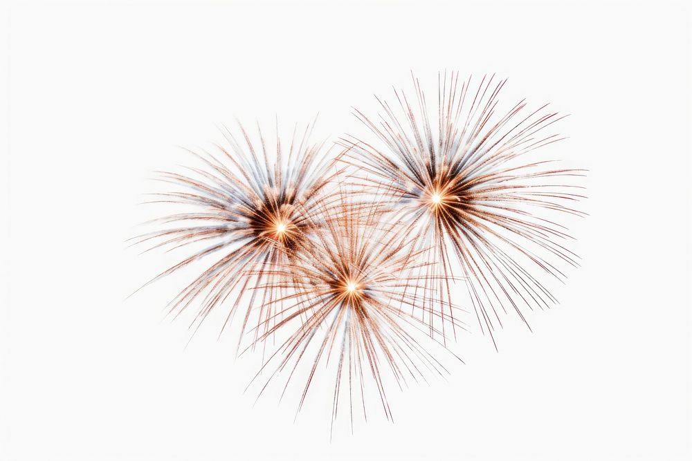 Fireworks white background celebration recreation. 