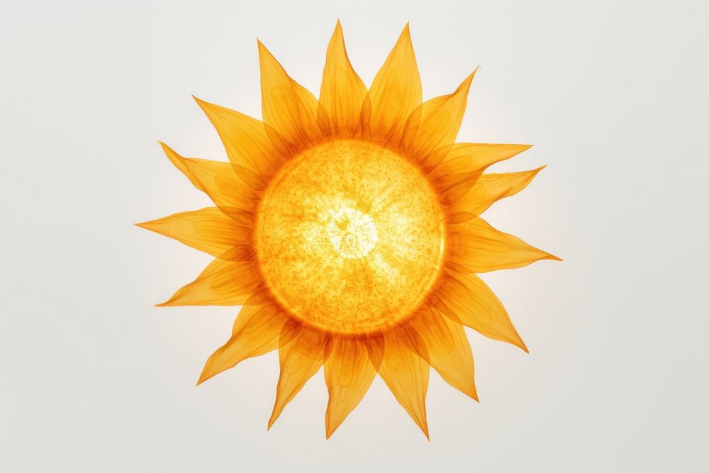 Sun sunflower sunlight plant. AI generated Image by rawpixel.