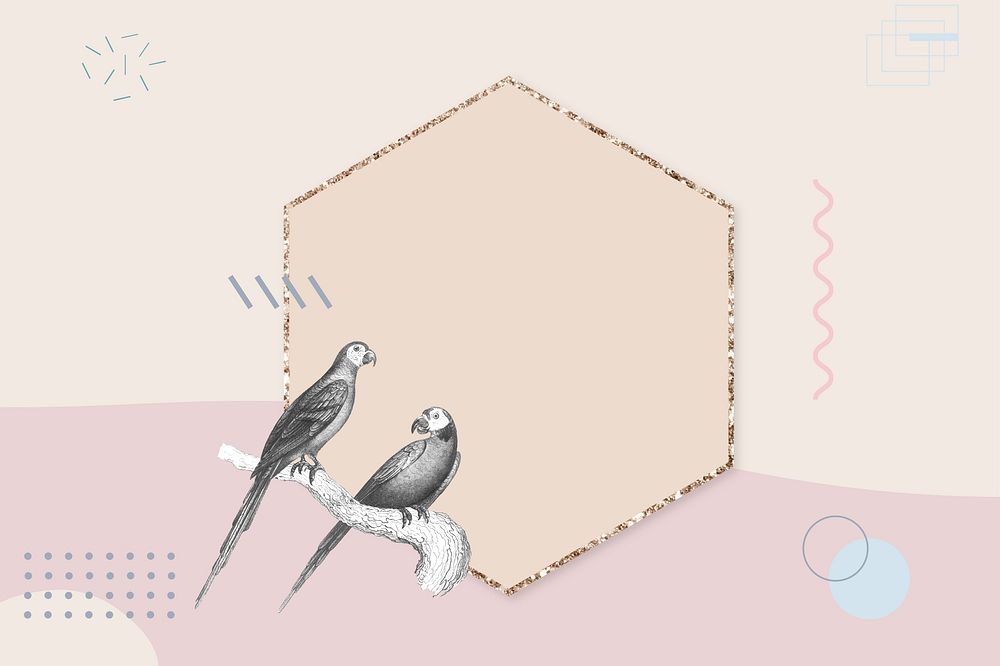 Vintage bird background, pastel hexagon frame