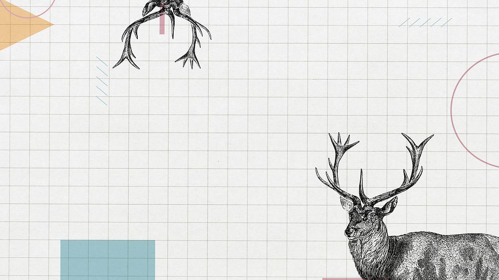 Off-white grid HD wallpaper, stag deer border