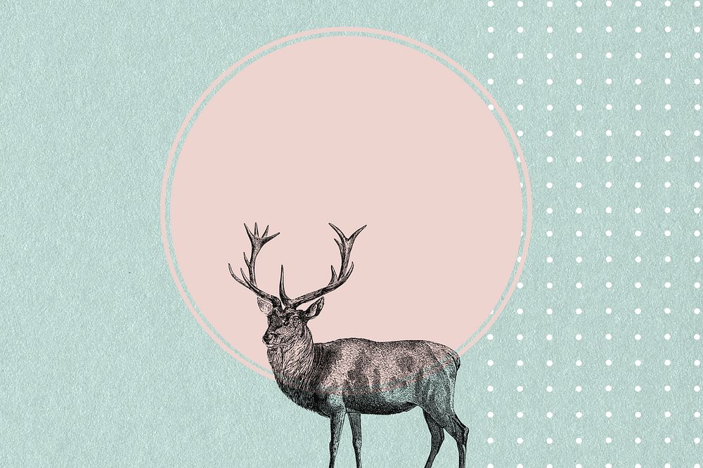 Pink circle background, vintage stag deer illustration
