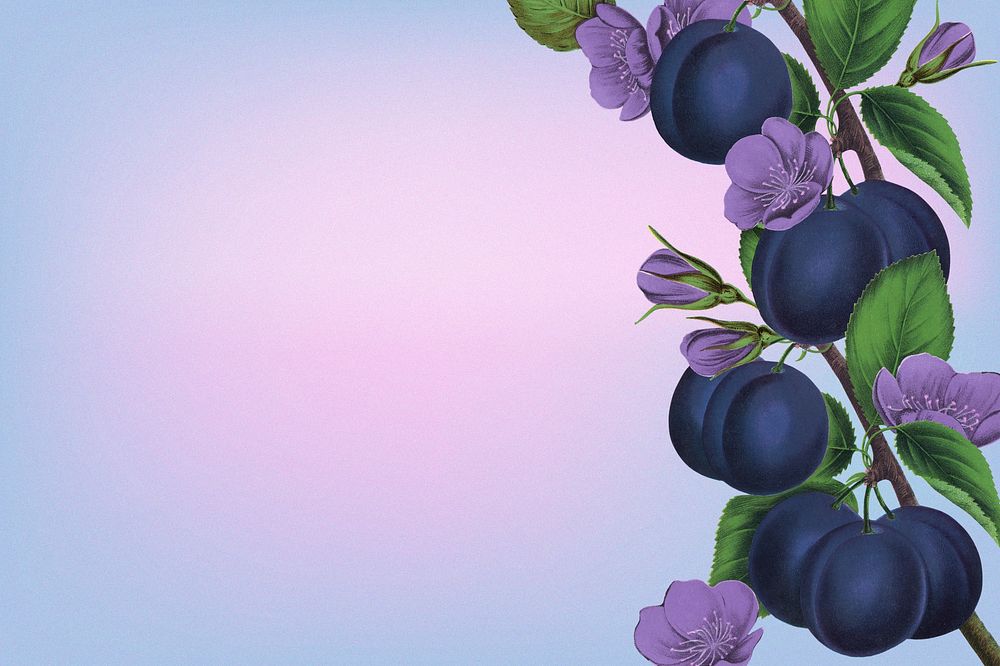 Prune and purple flower border, vintage illustration