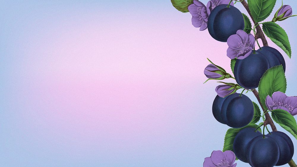 Prune flower border, desktop wallpaper