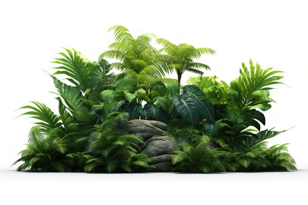 Tropical jungle vegetation outdoors nature. AI generated Image by rawpixel.