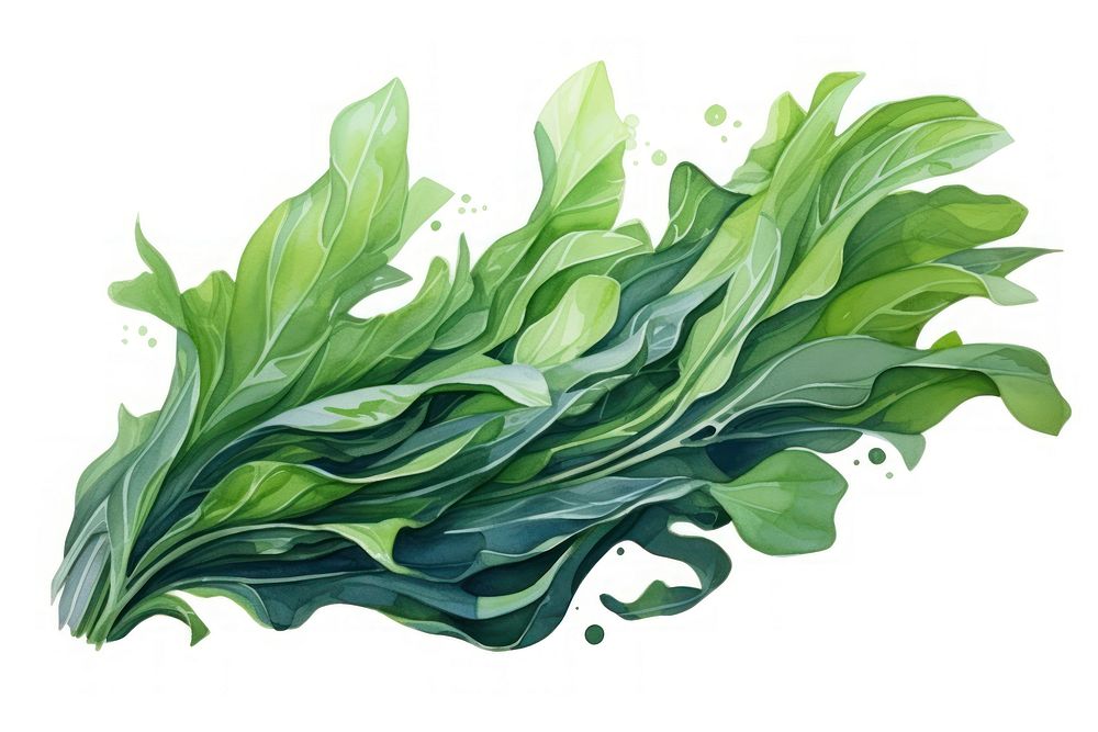 Vegetable plant food leaf. AI generated Image by rawpixel.