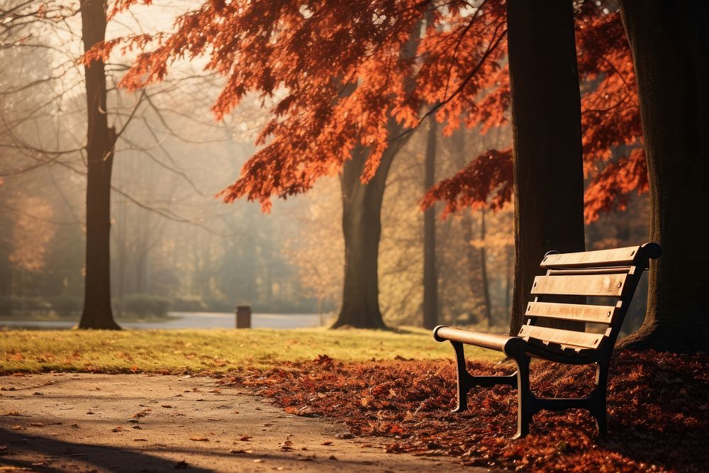 Autumn bench chair park. AI generated Image by rawpixel.