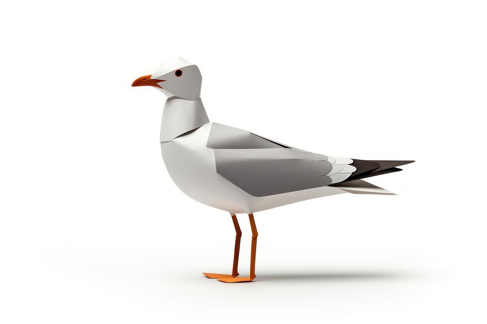 Seagull animal goose white. AI generated Image by rawpixel.