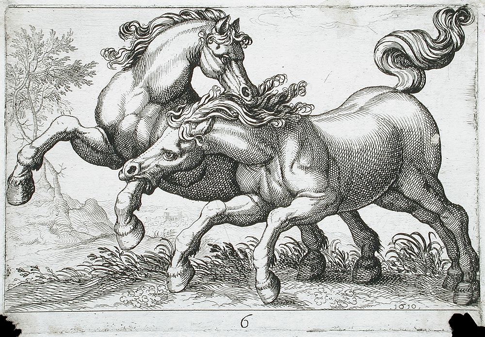 Two Horses Fighting by Hendrik Hondius I and Antonio Tempesta