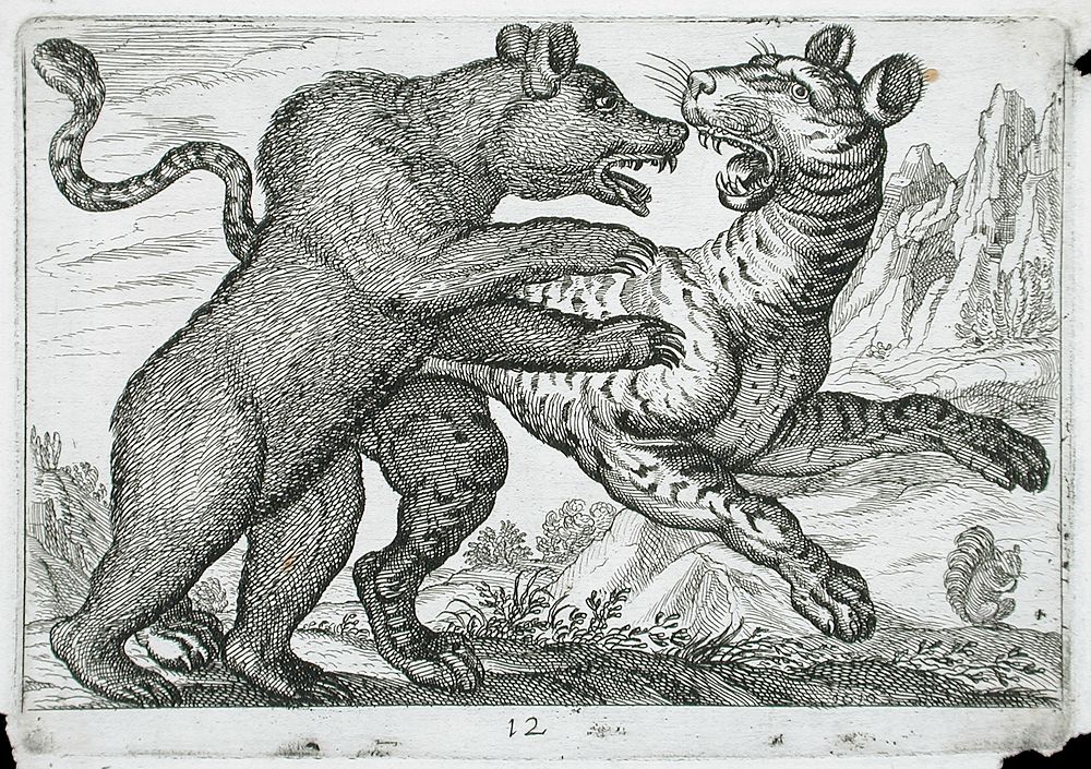 A Bear Fighting a Tiger by Hendrik Hondius I and Antonio Tempesta