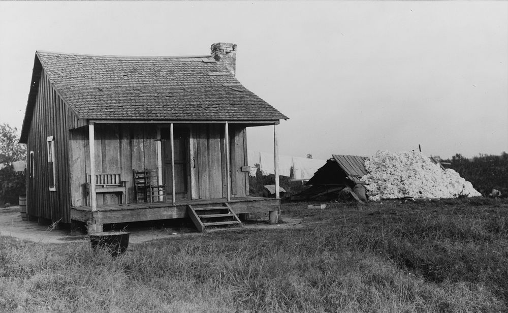Sharecropper's house with cotton stacker against shed. Mississippi Delta, Mississippi. Sourced from the Library of Congress.