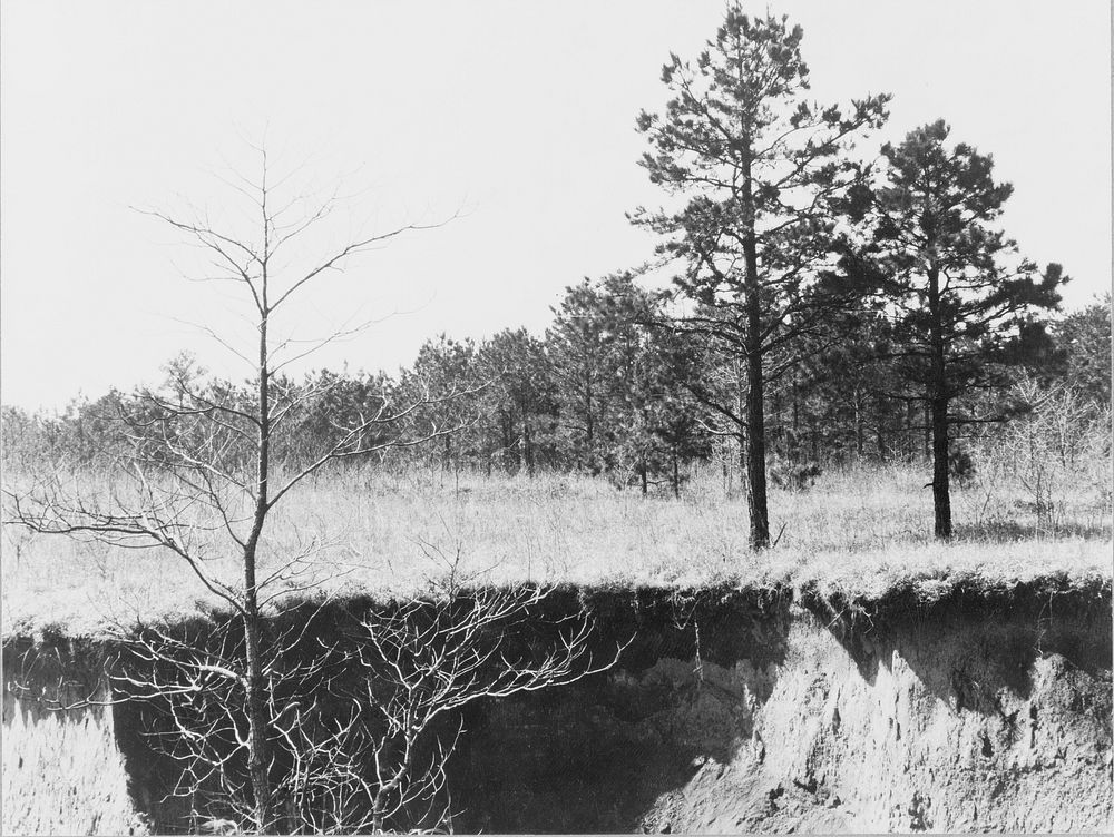 Erosion near Oxford, Mississippi. Sourced from the Library of Congress.