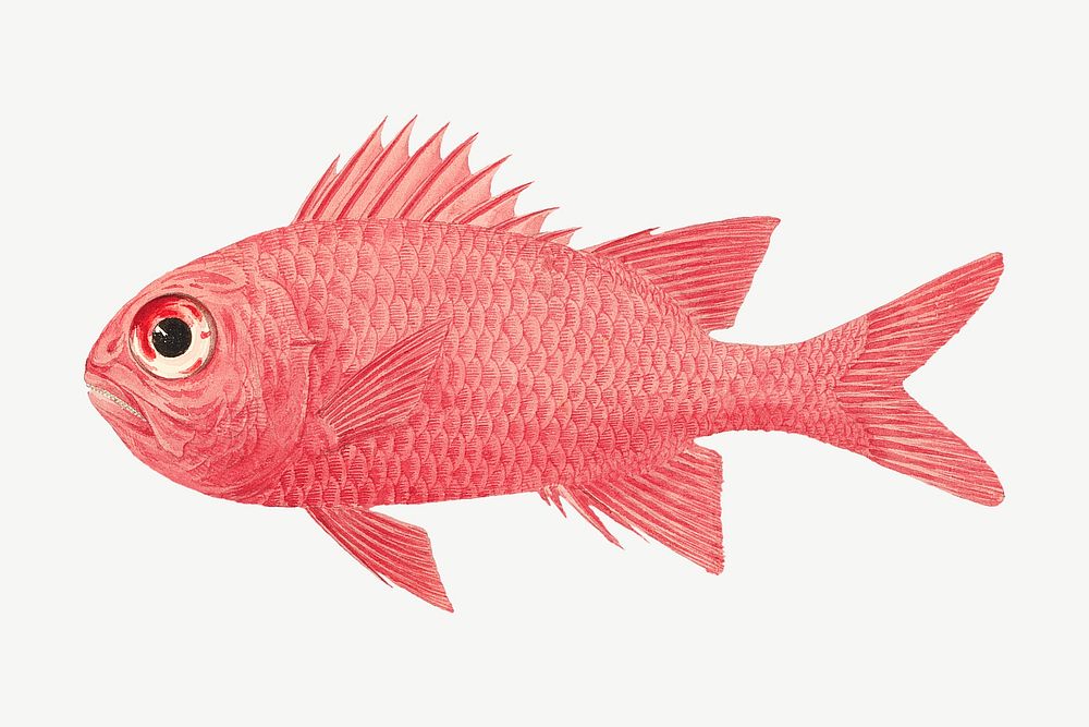 Pink exotic fish, vintage animal illustration by Luigi Balugani psd. Remixed by rawpixel.