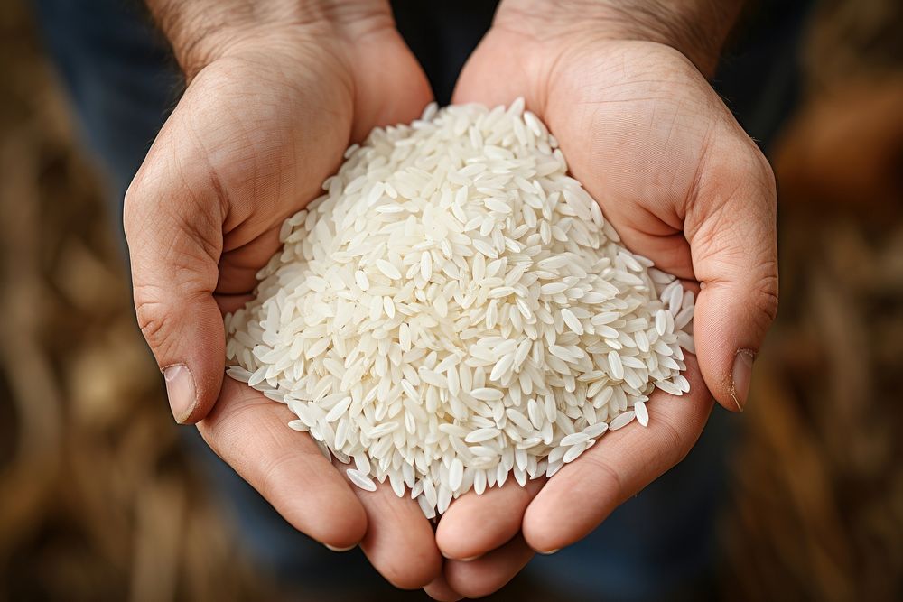 Rice holding food hand. AI generated Image by rawpixel.