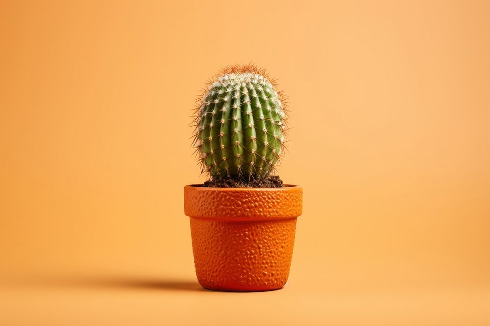 Cactus plant houseplant freshness. AI generated Image by rawpixel.