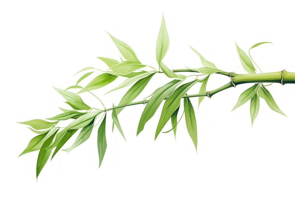 Bamboo branch plant herbs. AI generated Image by rawpixel.