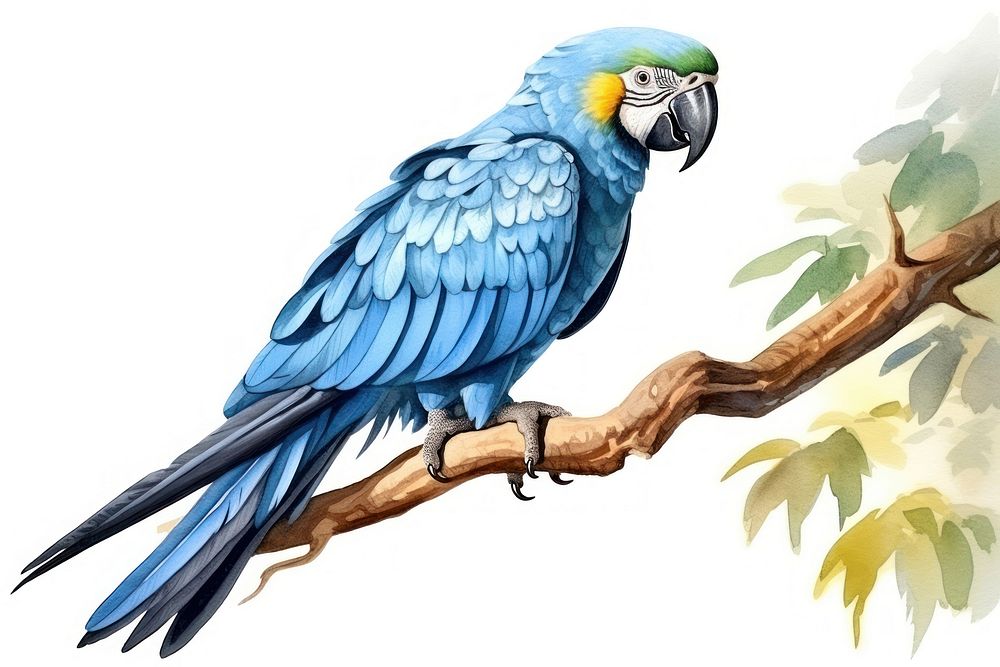Parrot animal bird blue. AI generated Image by rawpixel.
