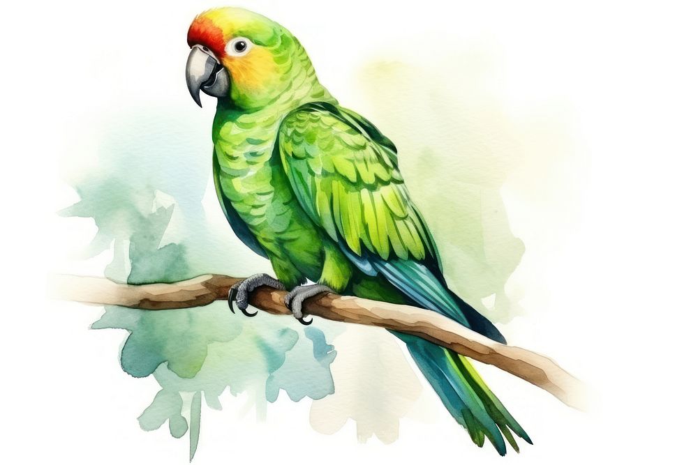 Parrot animal green bird. AI generated Image by rawpixel.