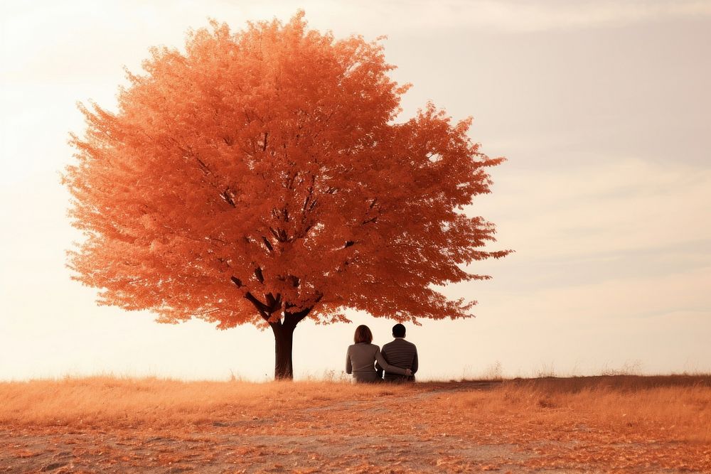 Autumn tree outdoors nature. 