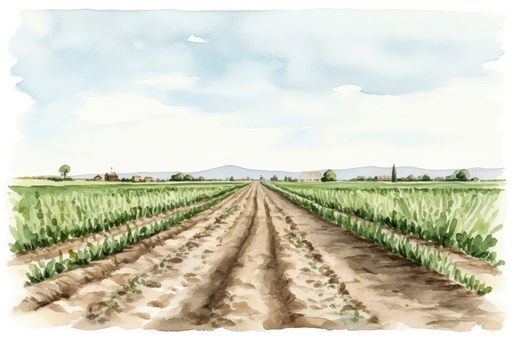 Agriculture field outdoors nature. AI generated Image by rawpixel.
