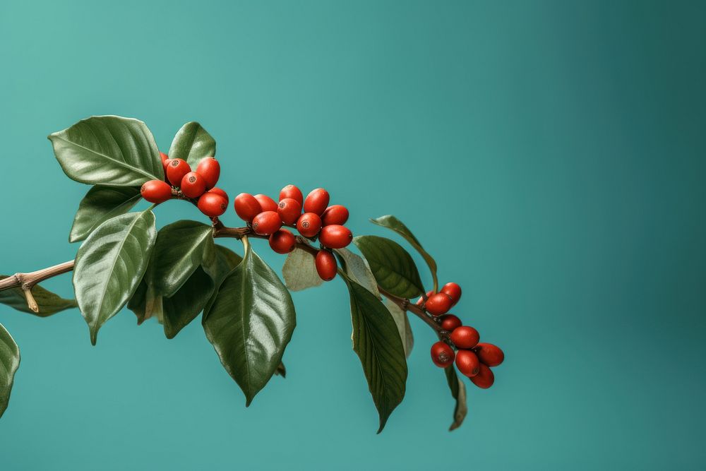 Plant cherry leaf freshness. AI generated Image by rawpixel.