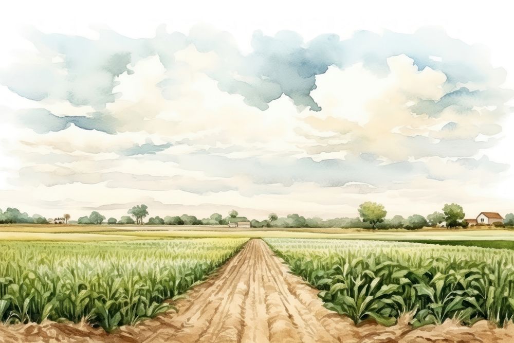 Agriculture field landscape outdoors. AI generated Image by rawpixel.