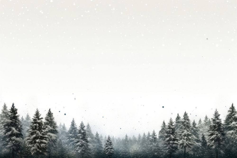 Tree snow backgrounds outdoors. 