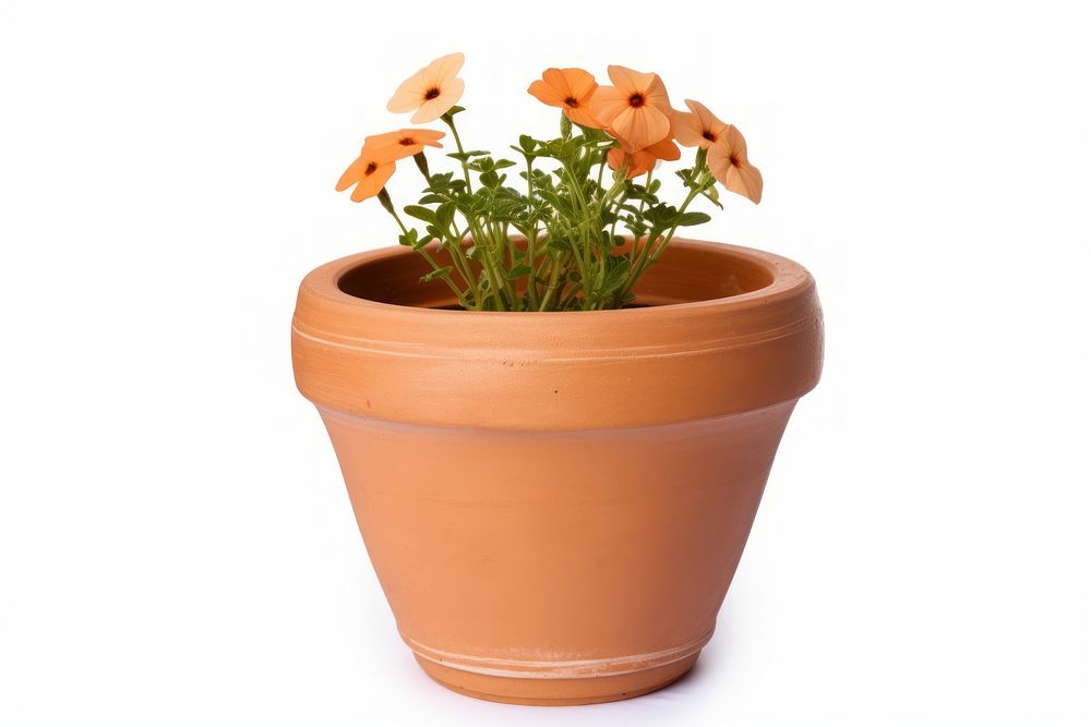 Flower plant vase pot. AI generated Image by rawpixel.
