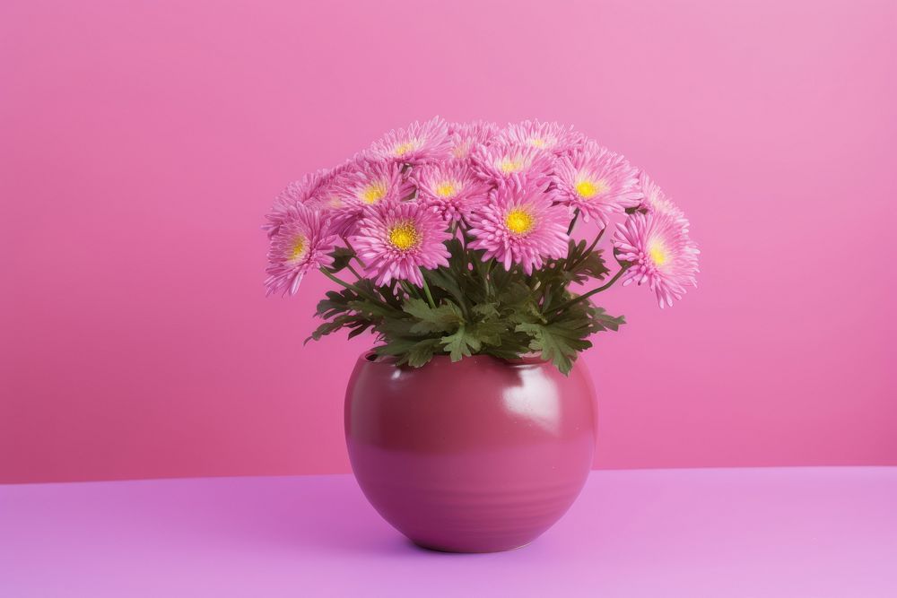 Chrysanths flower plant daisy. AI generated Image by rawpixel.