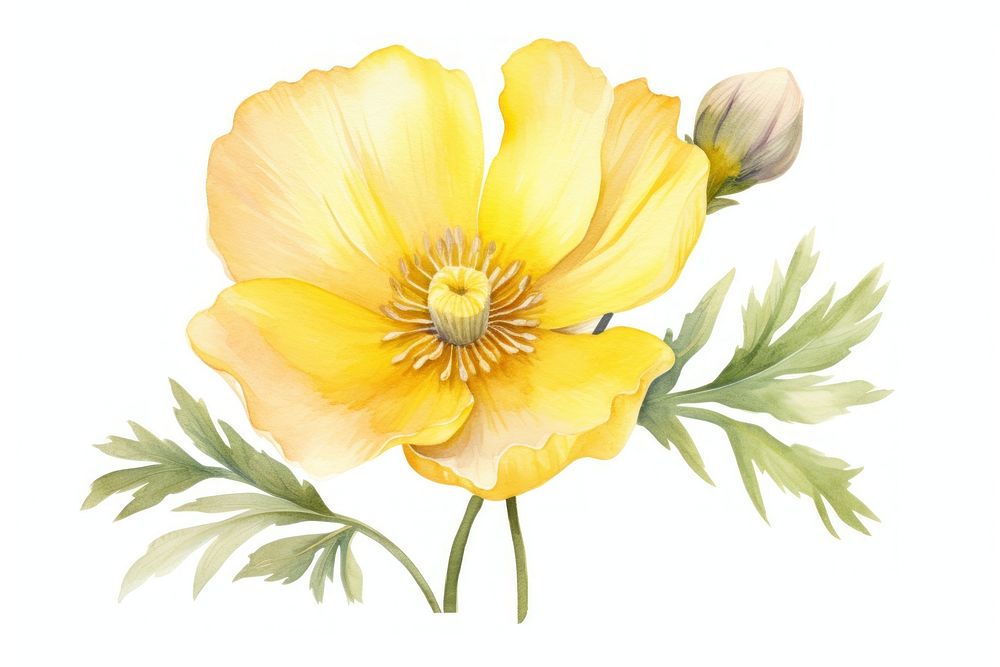 Flower blossom yellow petal. AI generated Image by rawpixel.