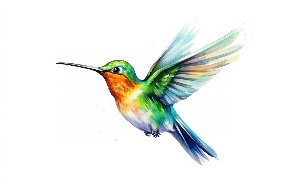 Hummingbird animal flying beak. AI generated Image by rawpixel.