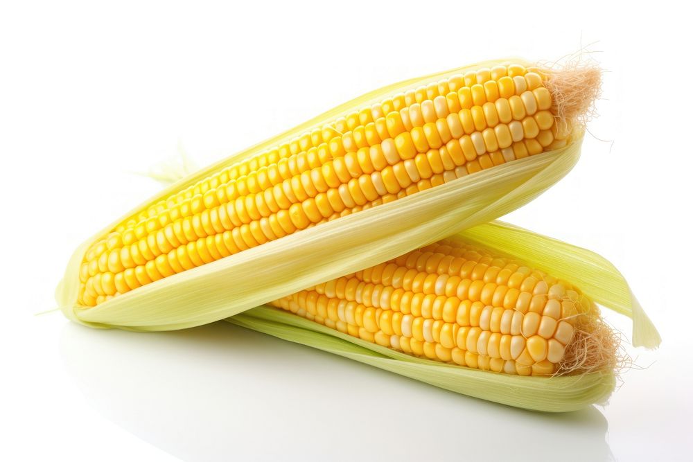 Corn plant food white background. AI generated Image by rawpixel.