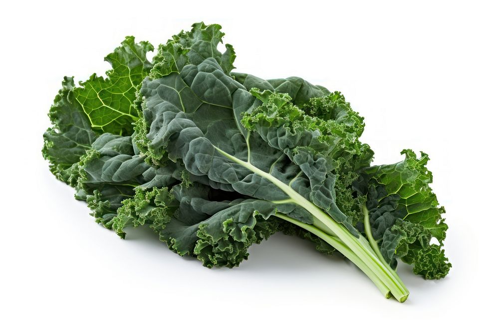 Kale vegetable plant food. 