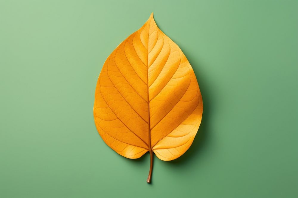 Leaf plant fragility pattern. AI generated Image by rawpixel.