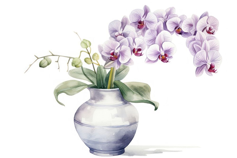 Orchid flower plant vase. AI generated Image by rawpixel.