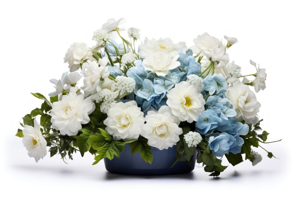 Arrangement flower plant white. AI generated Image by rawpixel.