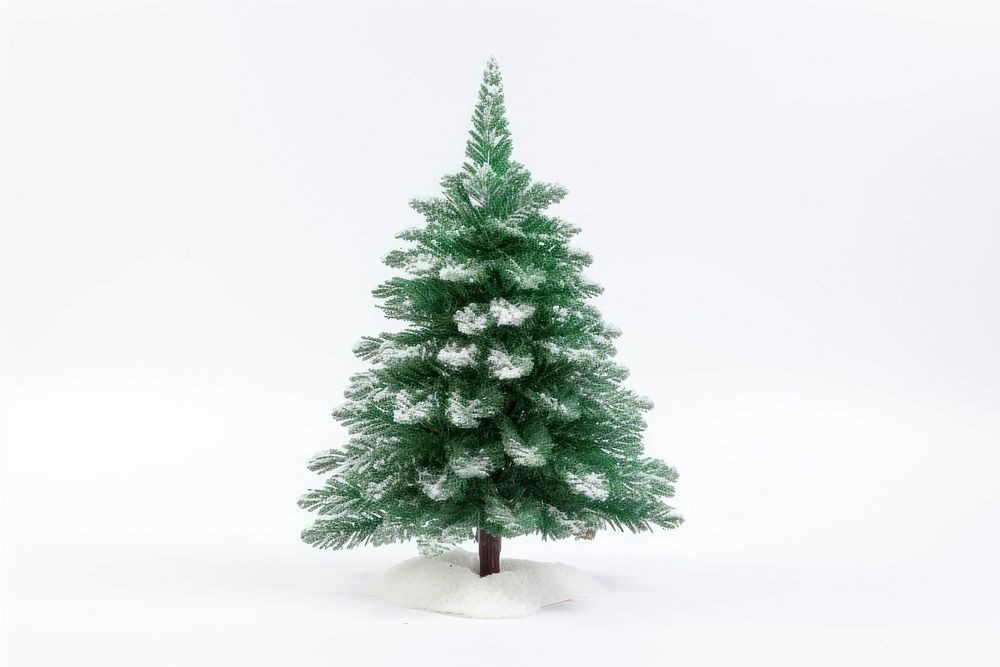Christmas tree plant white. AI generated Image by rawpixel.