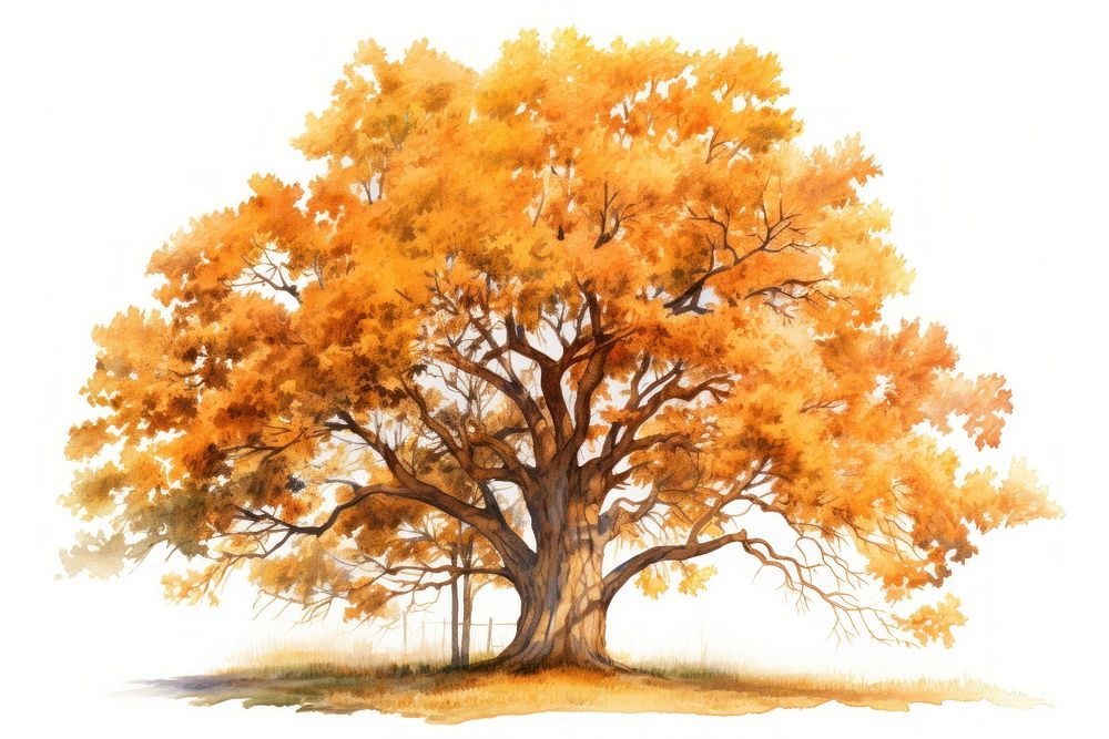 Tree autumn plant oak. AI generated Image by rawpixel.