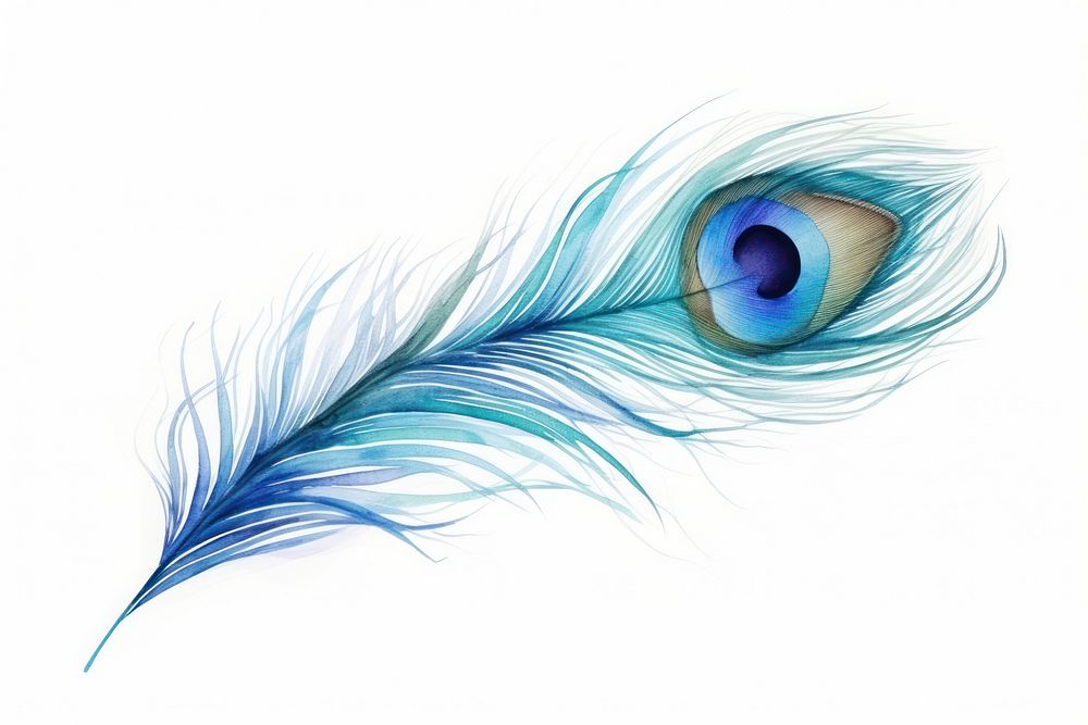 Peacock feather pattern peacock feather. AI generated Image by rawpixel.