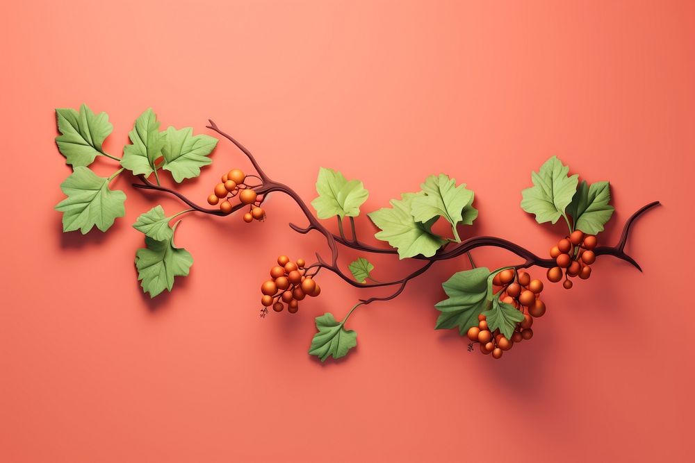 Fruit plant food leaf. AI generated Image by rawpixel.