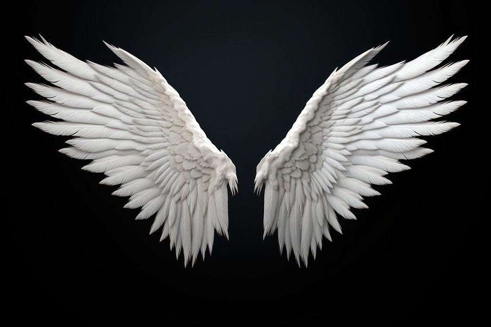 Angel white bird wing. AI generated Image by rawpixel.